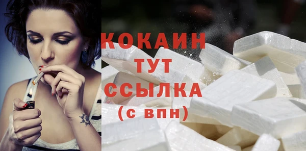 spice Инсар