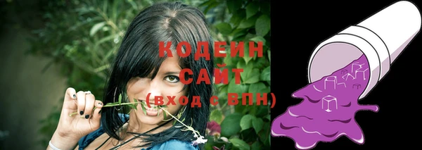spice Инсар