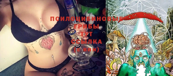 2c-b Инта
