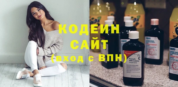 spice Инсар