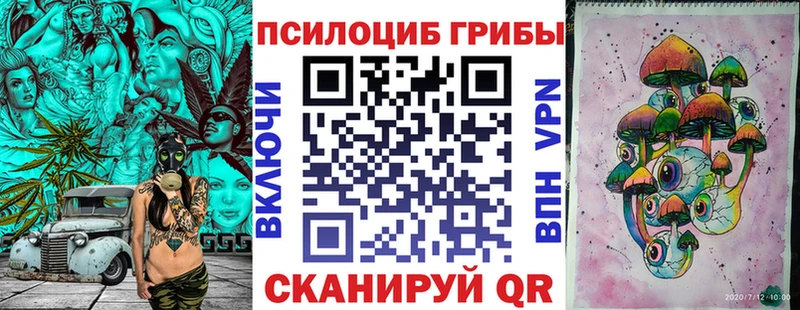 Купить закладки  Короча  Псилоцибиновые грибы Psilocybe 