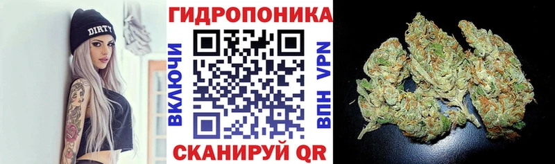 Купить где Короча Шишки марихуана MAZAR